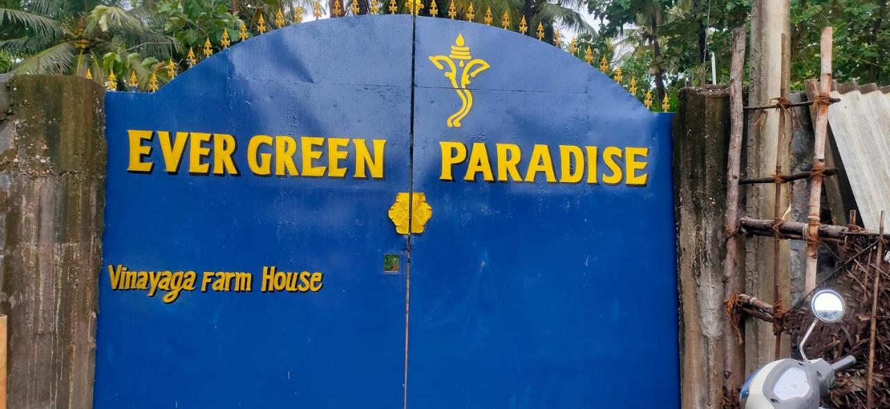 Evergreen Paradise Pondicherry Quarto foto